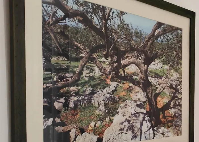 Apartman Poluotok Zára